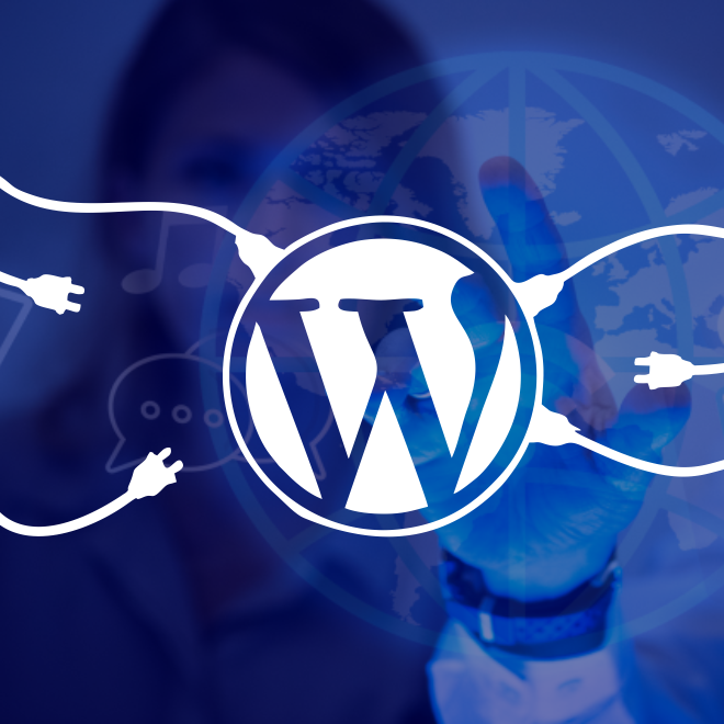 website images wordpress body
